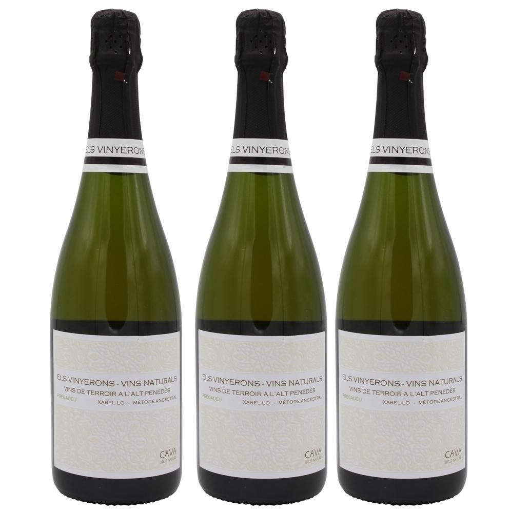 1244 - Cava Els Vinyerons Pregadéu Ancestral Brut Nature - Imatge 2
