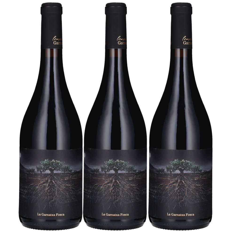 2814 - Vi Negre Fosca del Priorat - Imatge 2