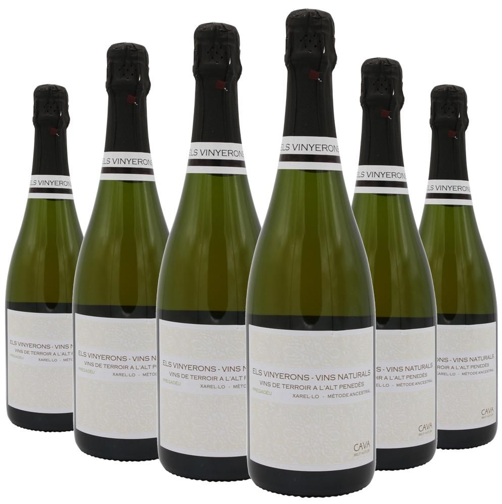 1244 - Cava Els Vinyerons Pregadéu Ancestral Brut Nature - Imatge 4