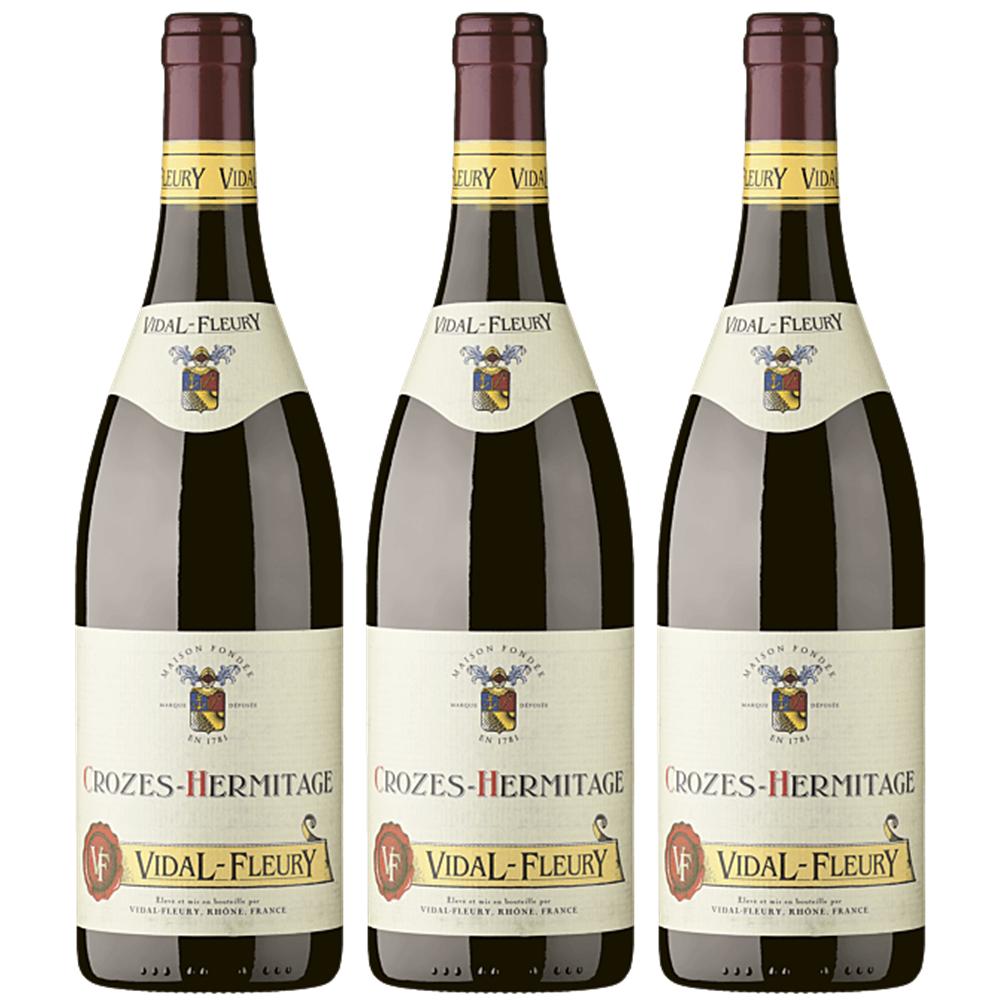 2938 - Vi Negre Vidal-Fleury Crozes-Hermitage - Imatge 2