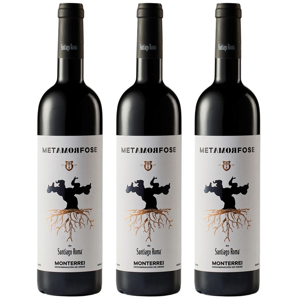 2645 - Metamorfose de Santiago Roma - Monterrei Mencía - Imatge 2